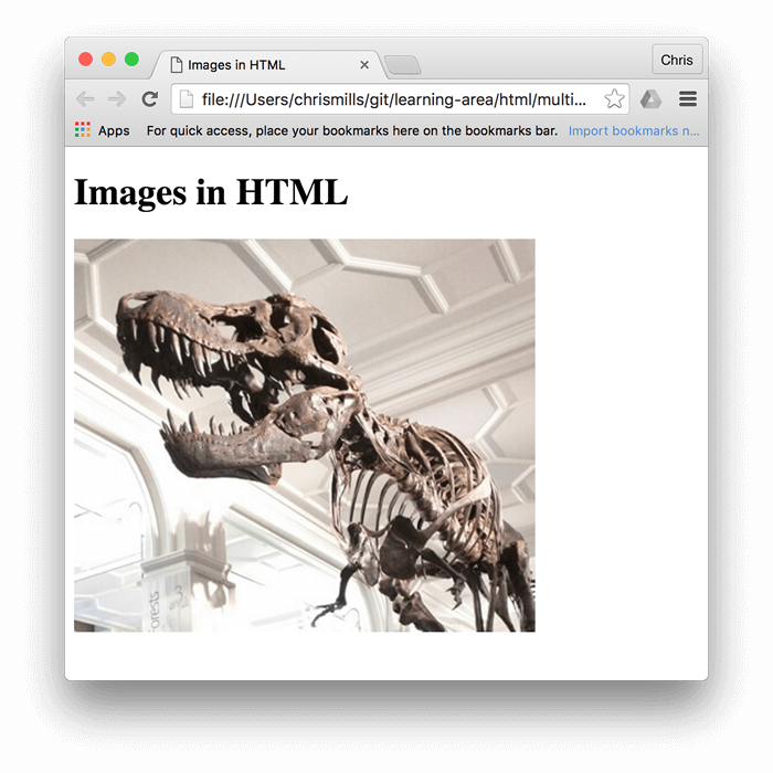Ein einfaches Bild eines Dinosauriers, eingebettet in einem Browser, mit "Bilder in HTML" darüber