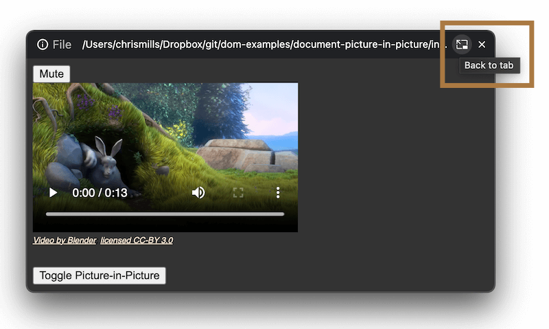 Browserfenster mit eingebettetem Videoplayer und mehreren Steuertasten, mit einem "zurück zum Tab"-Button in der oberen Leiste, hervorgehoben mit einem roten Kasten